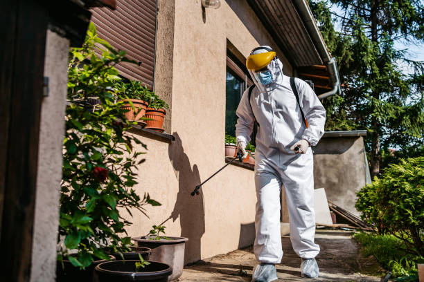 Bird Control in Paloma Creek, TX