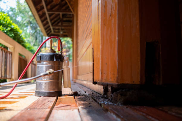 Best Pest Control for Restaurants  in Paloma Creek, TX