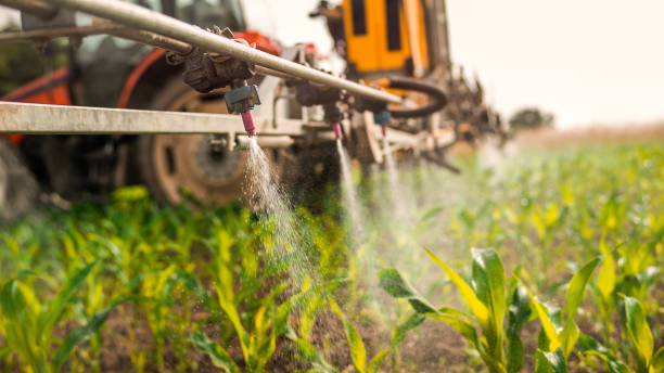 Professional Pest Control in Paloma Creek, TX