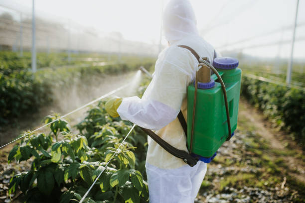Best Best Pest Control Companies  in Paloma Creek, TX